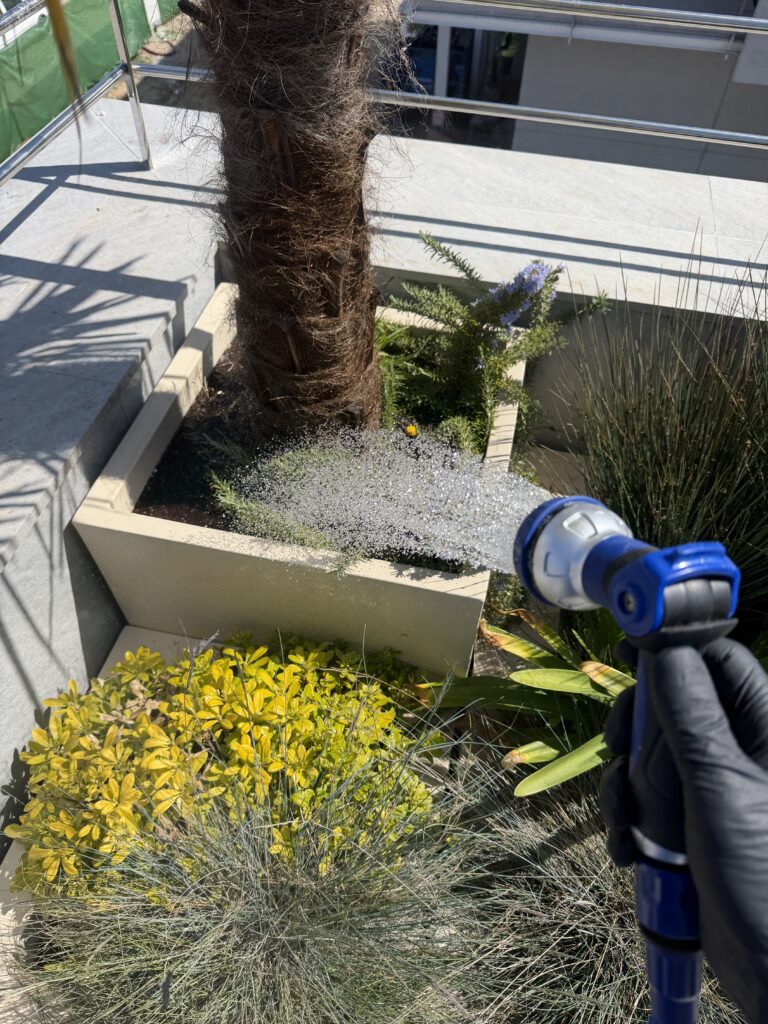 Servicio profesional de jardinería