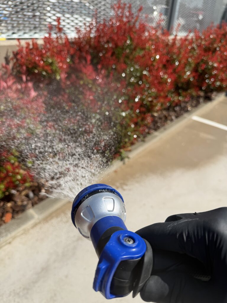 Servicio profesional de jardinería